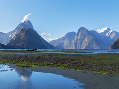 Milford Sound Cruise from Queenstown Fiordland