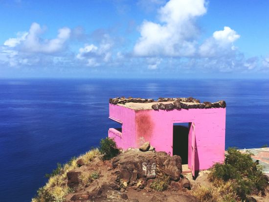 ピンクピルボックス絶景ハイキング＆コオリナ満喫ツアー　ワイケレアウトレットでショッピングも！＜おむすび付き／日本語ガイド＞