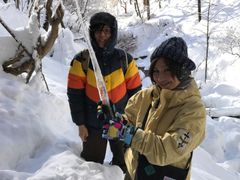 IMG_8548