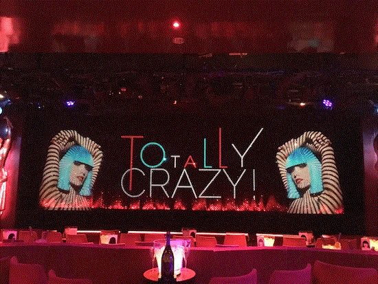 クレイジーホース(Crazy Horse) 老舗キャバレー ショー　世界中のセレブも魅了！シャンパン付きプランあり＜現地集合・解散＞