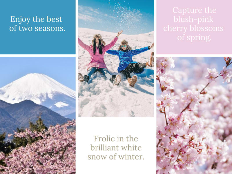 Spring-Winter-Japan