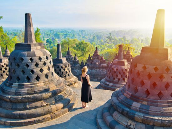 shutterstock_1040566627