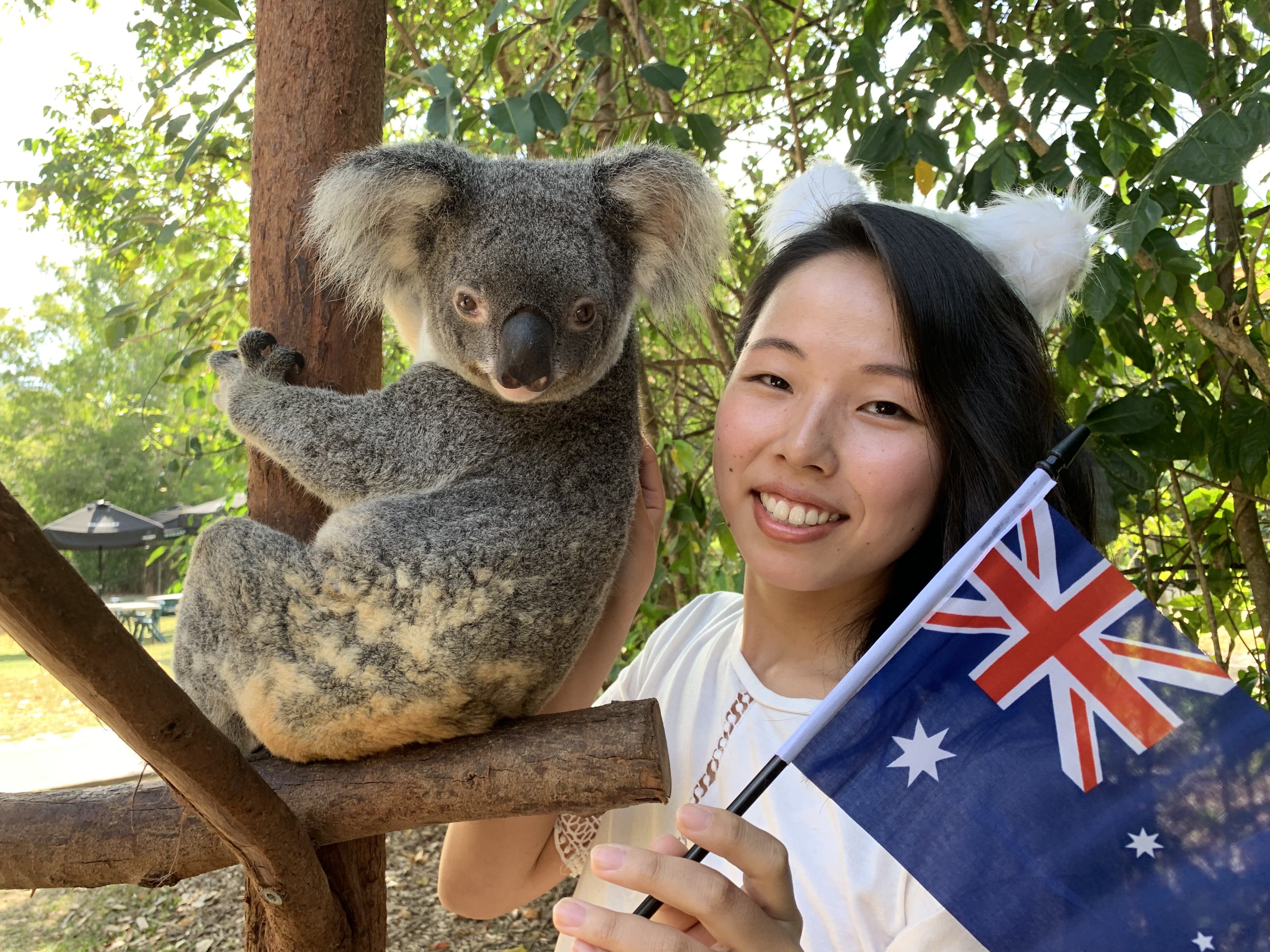 ハートリーズ・クロコダイル・アドベンチャーズ入園チケット 迫力と