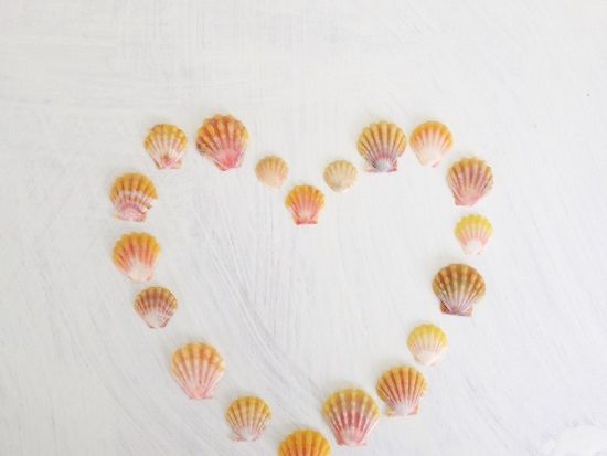 【手作り体験教室】サンライズシェル・ネックレス　オリジナルハワイアン雑貨 ＜日本語スタッフ＞