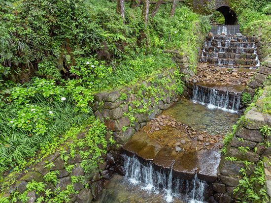 Taiwan_Alishan_shutterstock_1465672310