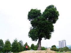 DSCF0018