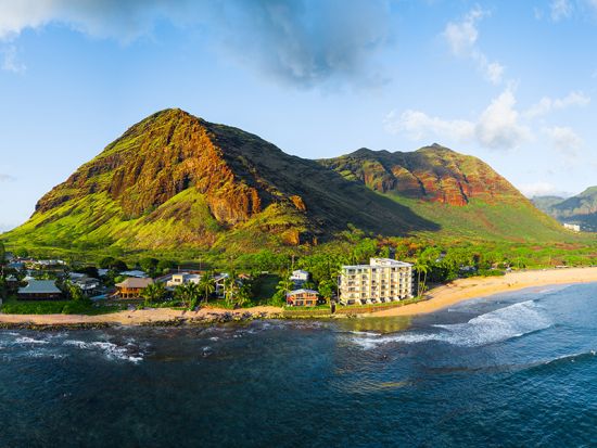 シュノーケリングクルーズ　野生のウミガメ＆イルカ・ウォッチング ＜ランチ＆アルコール3杯付き＞