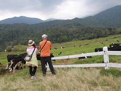 DESA_FARM