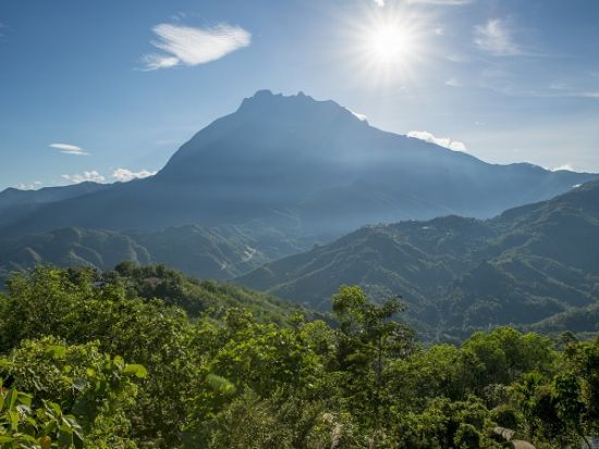 トレッキングでボルネオ島の自然を大満喫ツアー　10名限定！＜昼食＆夕食付き／日本語ガイド／コタキナバル発＞