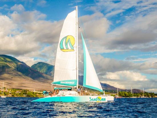 シュノーケリングクルーズ　西マウイの美しい海でクルージング＆シュノーケリング！オープンバーでの飲み放題付き♪＜軽食付き／午後／4～12月／英語ガイド＞