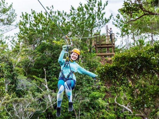 バギーで農園観光ツアー 沖縄でしか体験できない広大な農園を爽快ドライブ　雨の日バキーもオススメ　＜1時間／4歳からOK／免許不要／雨具貸出／やんばる（東村）＞