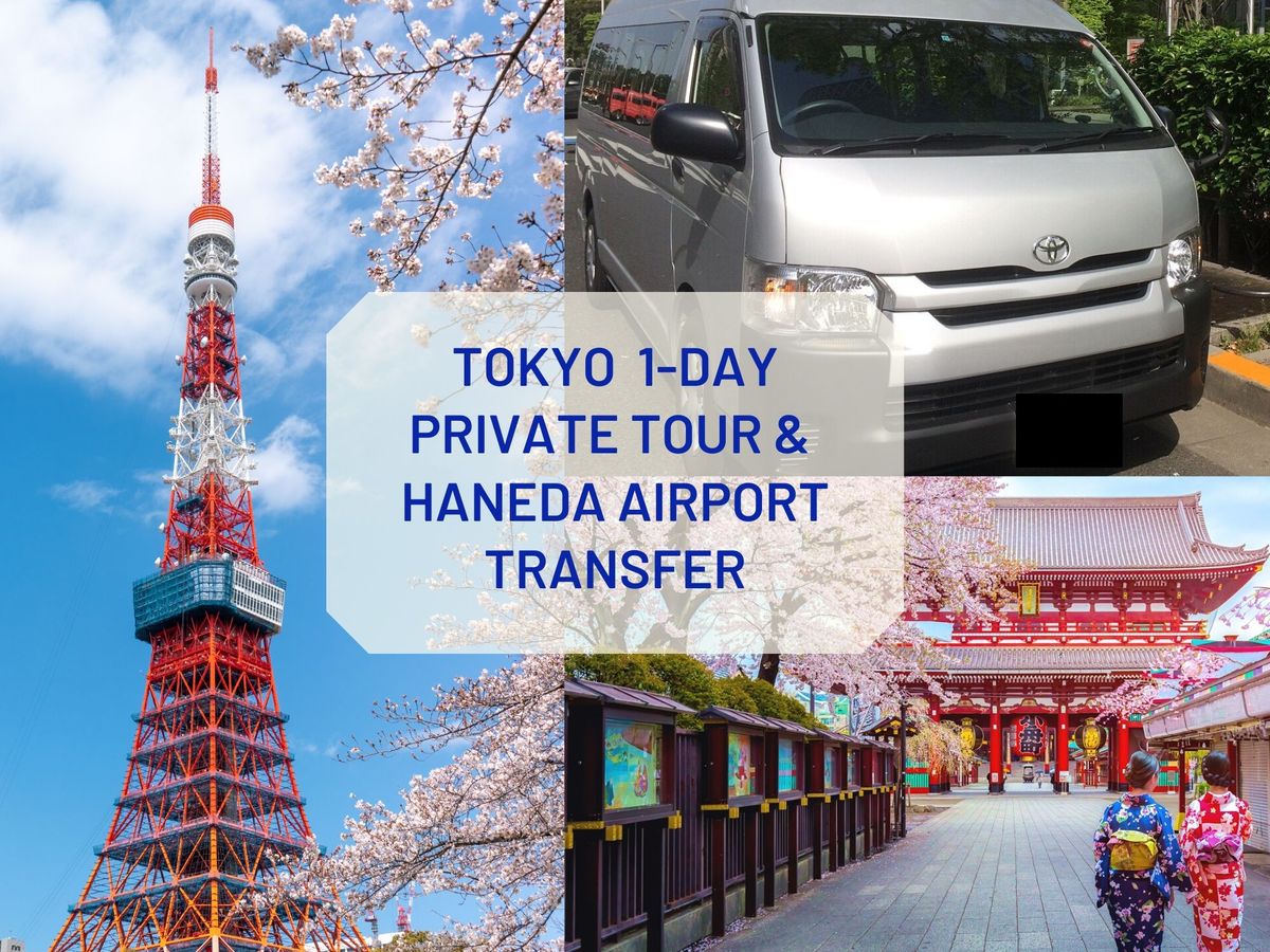 Tokyo 1Day Private Tour with Haneda Airport Transfer tours, activities