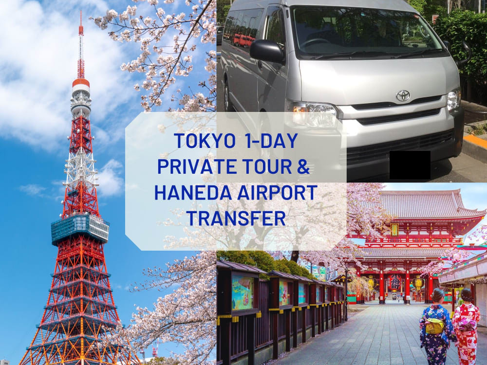 tokyo tours from airport