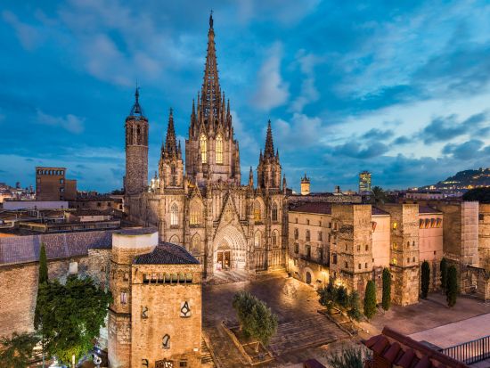 旧市街ナイトツアー＋フラメンコ・ショー（ロス・タラントス Los Tarantos）＋人気レストランでのディナー＜日本語／バルセロナ＞*前日まで予約OK