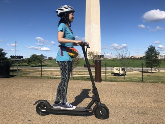 電動キックボードで巡る　ワシントンD.C.半日観光ツアー ＜午前＆午後／日本語ガイド＞