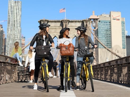 Brooklyn Bridge Bike Rental 1