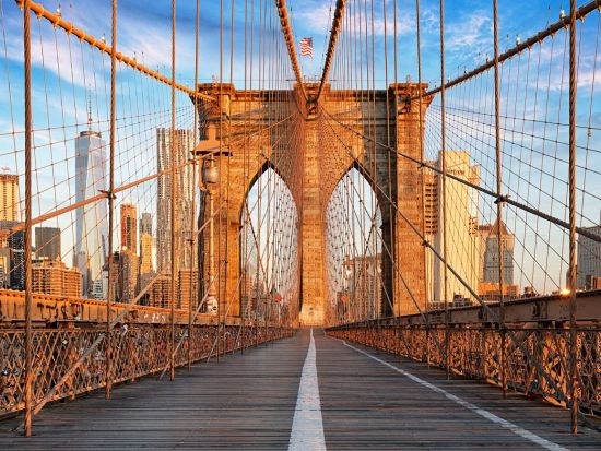 ブルックリン・ブリッジ＆ダンボ地区　ウォーキングツアー ＜2.5時間／英語ガイド＞