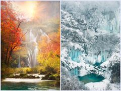 winter