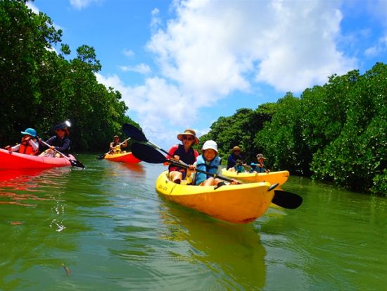 【少人数制】マングローブカヤックツアー　宮良川のジャングルやコウモリの棲む小洞窟を探検！より生き物観察に適した干潟散策付きプランも＜当日12時まで予約可＞