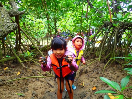 【少人数制】マングローブカヤックツアー　宮良川のジャングルやコウモリの棲む小洞窟を探検！より生き物観察に適した干潟散策付きプランも＜当日12時まで予約可＞