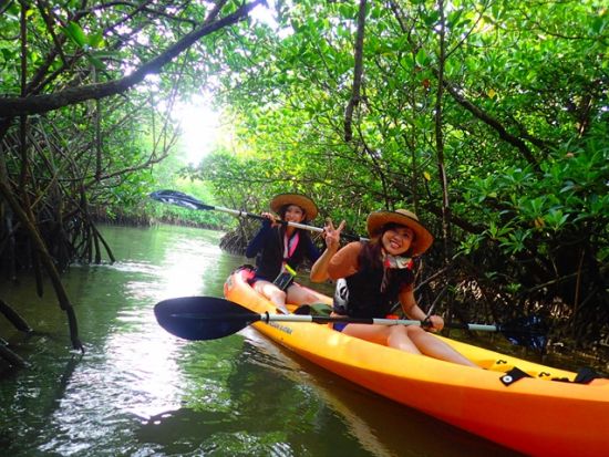 【少人数制】マングローブカヤックツアー　宮良川のジャングルやコウモリの棲む小洞窟を探検！より生き物観察に適した干潟散策付きプランも＜当日12時まで予約可＞