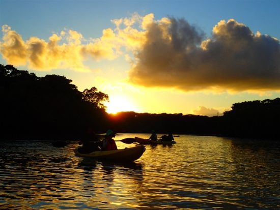サンセットカヤックツアー　夕暮れ時のマングローブ林と宮良湾からの夕日を堪能＜3〜10月／当日13:00時まで予約OK＞