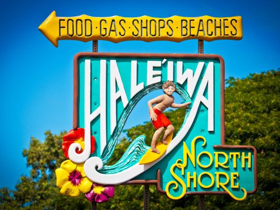 ノースショア・ステーブルズ　四輪バギー体験（45分） バギーでオフロードを疾走＋ハレイワタウン自由散策+ドールプランテーション立ち寄り付き！＜半日／送迎付き＞