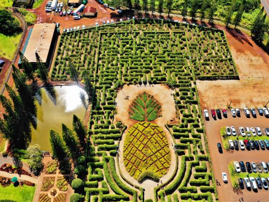 ノースショア（ハレイワ）貸切チャーター　乗馬や四輪バギーなどノースショアでの各種アクティビティもご用意！＜1～25名／6～10時間／日本語ガイド＞