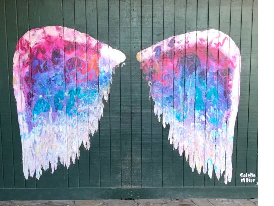 ノースショア（ハレイワ）観光往復シャトルサービス　ドール立ち寄りとハレイワで3時間の自由散策＜1日／日本語ガイド＞