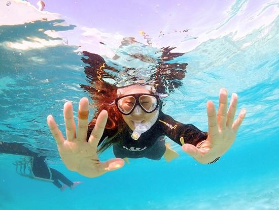 シュノーケリング　透明度抜群の海とカラフルな熱帯魚の世界へ！観光前後で選びやすい離島ターミナル目の前ショップ＜市街地送迎無料／3歳～OK＞