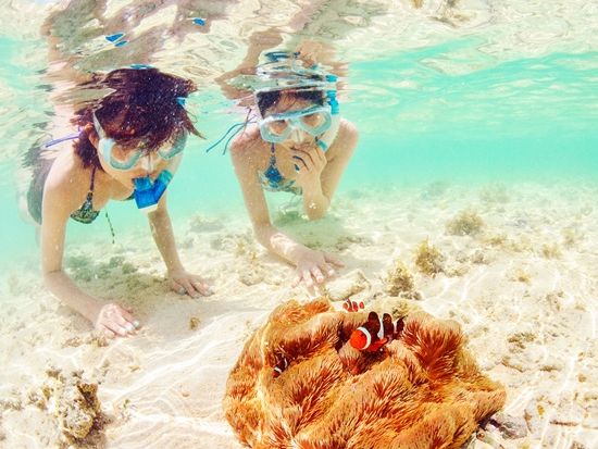 シュノーケリング　透明度抜群の海とカラフルな熱帯魚の世界へ！観光前後で選びやすい離島ターミナル目の前ショップ＜市街地送迎無料／3歳～OK＞