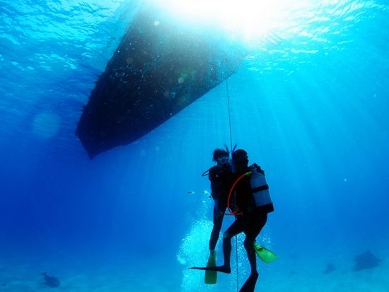 体験ダイビング 初心者さん向けの丁寧ガイド！観光前後で選びやすい離島ターミナル目の前ショップ＜ボート／1ダイブ／市街地送迎無料／石垣島＞