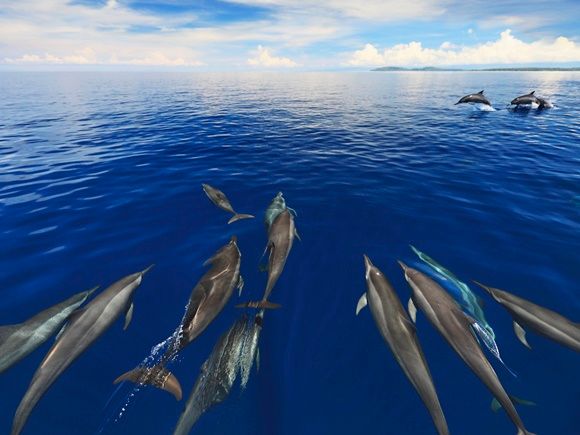 20200210015034_1364997024_1041