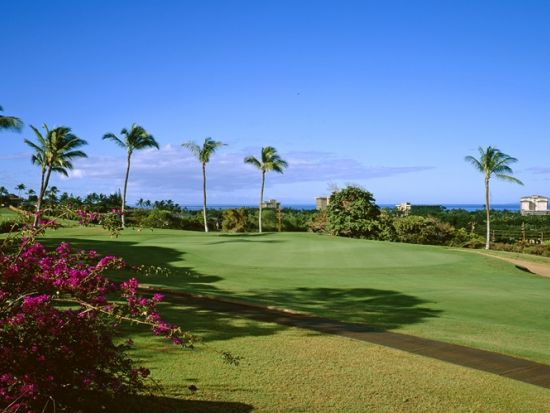 カアナパリ・ゴルフコース　ゴルフ場予約 ＜初級～上級／選べる2コース＞