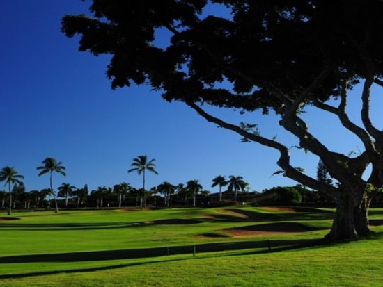 カアナパリ・ゴルフコース　ゴルフ場予約 ＜初級～上級／選べる2コース＞