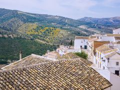 Spain_Cordoba_Baena_shutterstock_1241135689