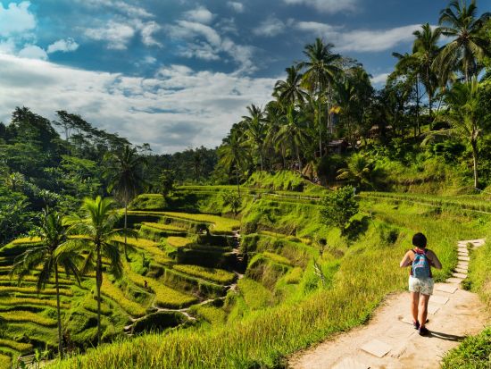 ウブド観光ツアー　午後からゆったりウブドを堪能！ライステラス＆バリ舞踊観賞 ＜貸切／日本語ガイド／午後＞