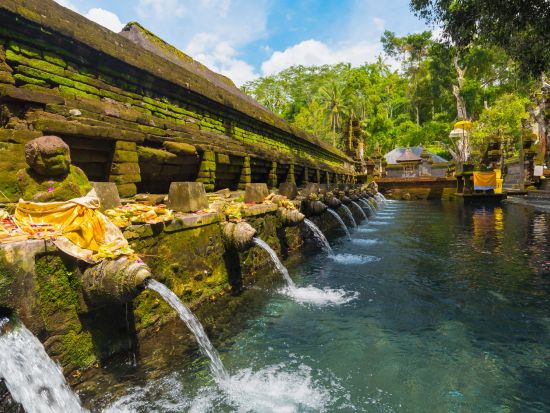ウブド観光ツアー　午後からゆったりウブドを堪能！ライステラス＆バリ舞踊観賞 ＜貸切／日本語ガイド／午後＞