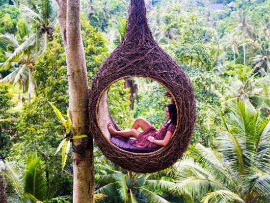 ウブド観光ツアー　午後からゆったりウブドを堪能！ライステラス＆バリ舞踊観賞 ＜貸切／日本語ガイド／午後＞