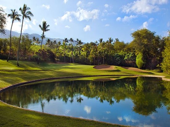 ワイレア・ゴルフクラブ　ゴルフ場予約 ＜初級～上級／選べる3コース＞