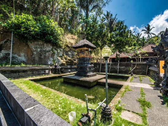 ウブド観光＆ゴアガジャ遺跡ツアー　自由時間はたっぷり最大3.5時間 ＜昼食付き／日本語ガイド＞by JTB