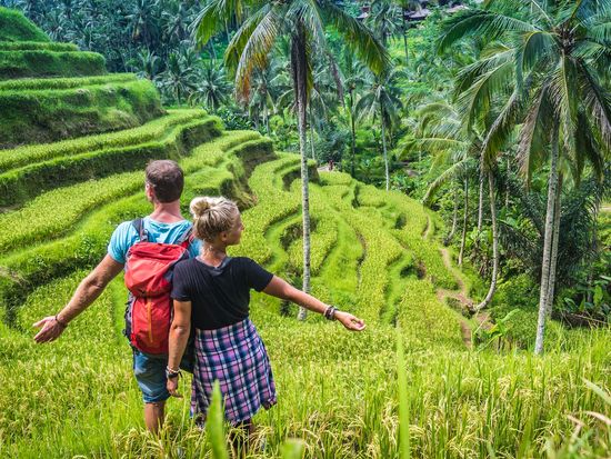 Indonesia_Ubud_RiceTerrace_shutterstock_1609342867
