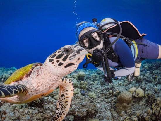 The Great Barrier Reef, diving, sea turtles