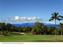 Wailea Gold #1_Thayer_5558 8x5