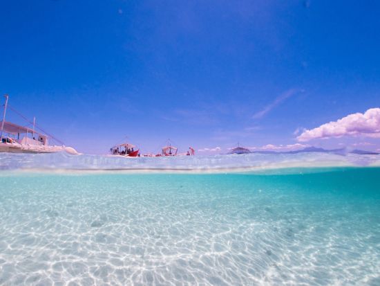 ジンベイザメシュノーケリング+スミロン島（幻の島・サンドバー）上陸ツアー　スミロン島での体験ダイビング付きプランあり！＜昼食／送迎＞