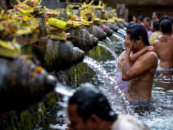 バリ文化と歴史を巡るツアー　世界遺産ティルタ・エンプル寺院＆ウブド観光＆キンタマーニ高原＆木彫りのマス村 ＜昼食付き／日本語ガイド＞by JTB