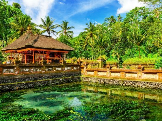 バリ文化と歴史を巡るツアー　世界遺産ティルタ・エンプル寺院＆ウブド観光＆キンタマーニ高原＆木彫りのマス村 ＜昼食付き／日本語ガイド＞by JTB