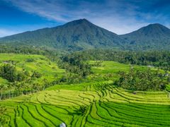 Indonesia_Bali_Jatiluwih_shutterstock_1097579366