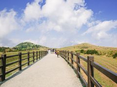 shutterstock_1640587771