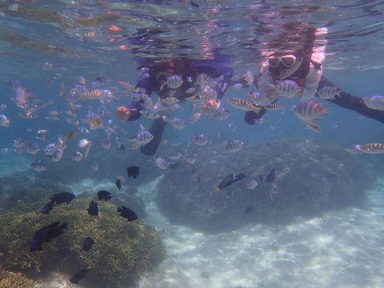 サンゴ礁の海でSUP クルージング&シュノーケリング&神秘の洞窟探検 ！＜写真無料／シャワー兼更衣室完備／恩納村＞ 